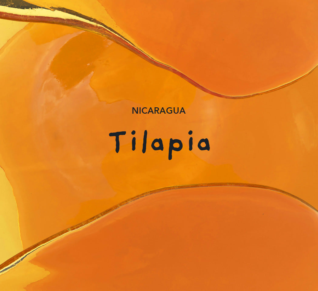 Tilapia